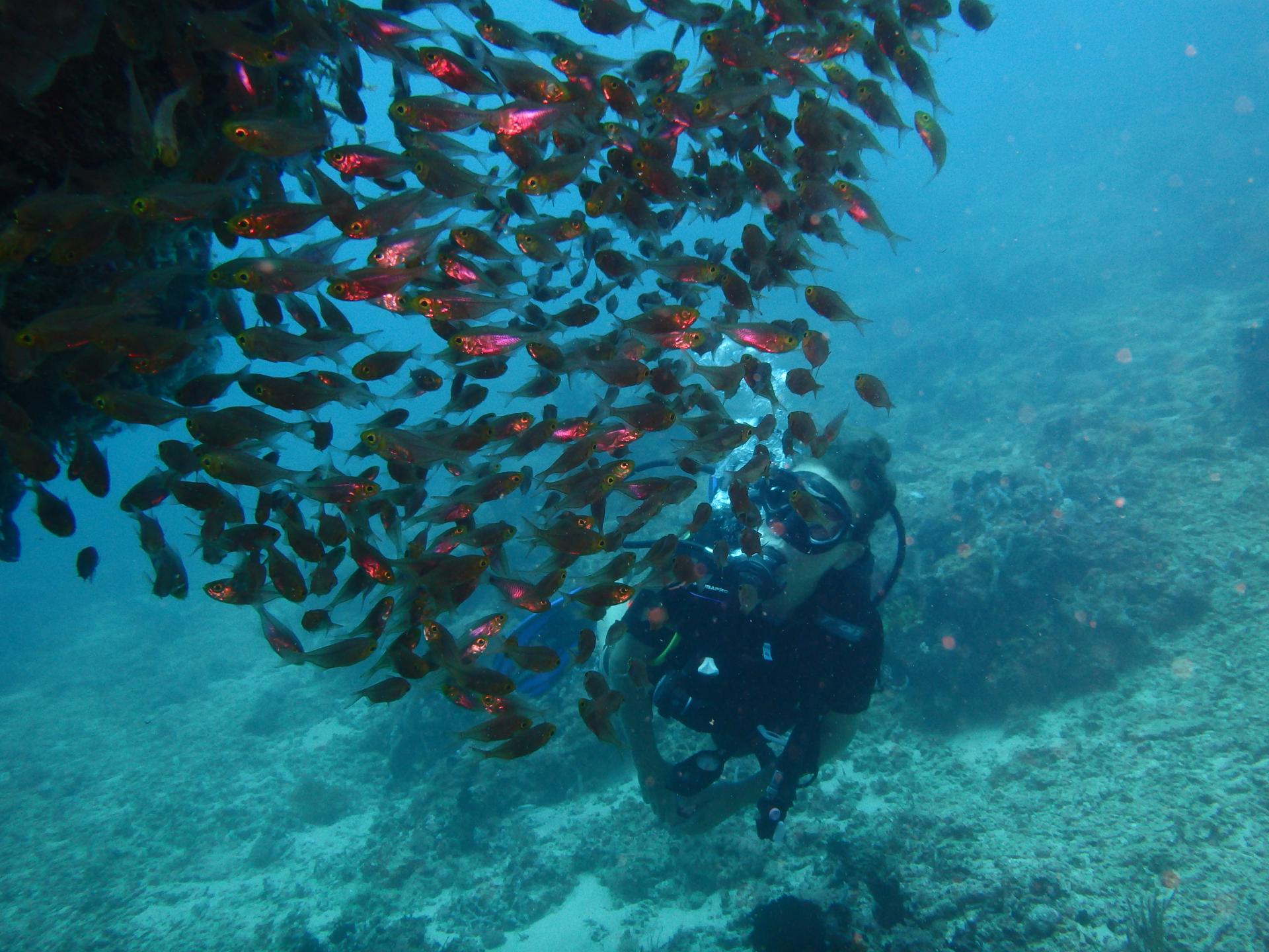 Snorkeling
