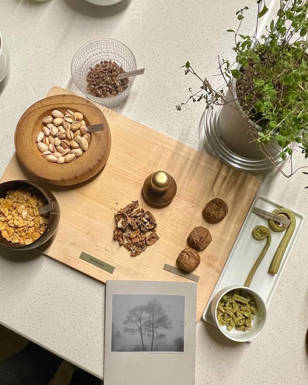 Ancient Grains Masterclass