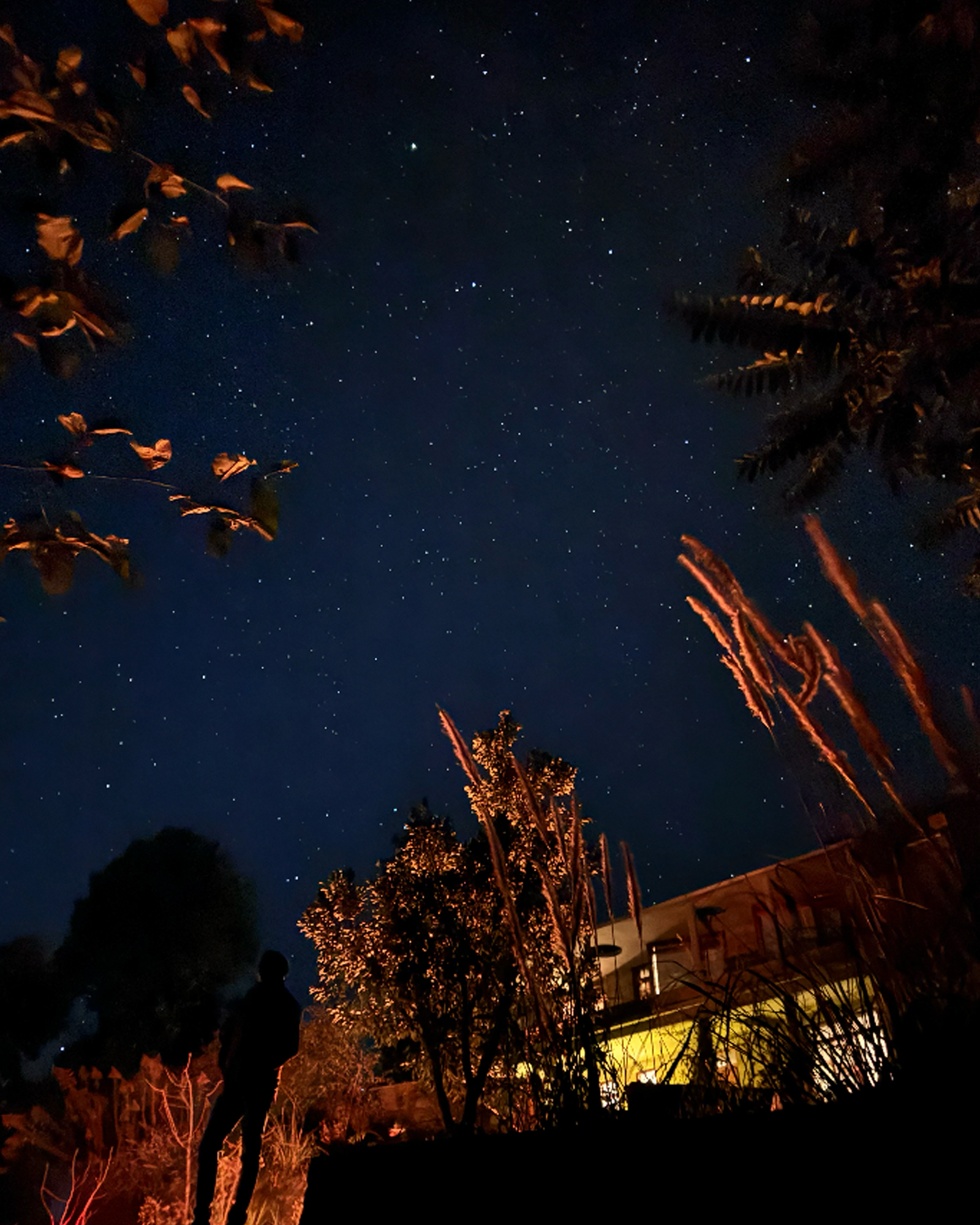Stargazing
